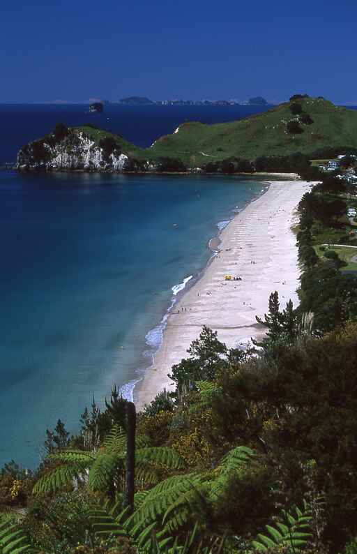 Te Pare Historic Reserve Walk