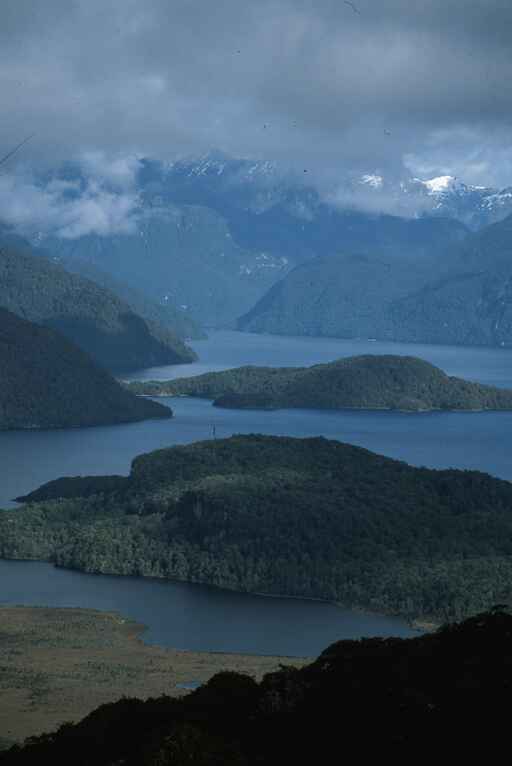 Circle Track - Manapouri 