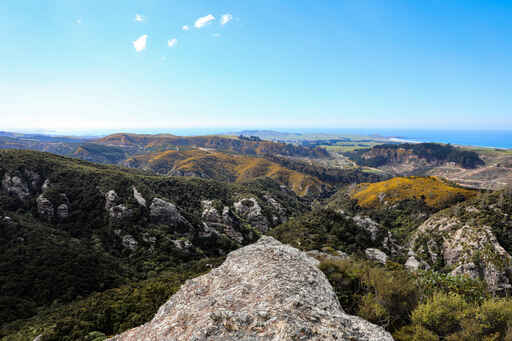 Trotters Gorge Scenic Reserve - Moeraki