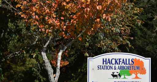 Hackfalls Arboretum