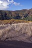 Sand dunes near Whatipu