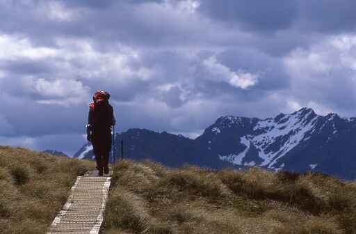 Luxmore Hut - Kepler Track