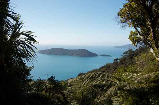 Ship Cove to Endeavour Inlet - Queen Charlotte Track