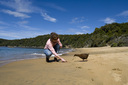 Stewart island Experience - Paterson Inlet Cruises