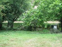 Sheltered parking underneath trees