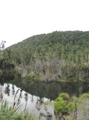 Beautiful Lake Monowai