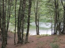 The lake through the trees