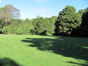 Grassy area surrounded by native bush and a stream.