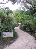 Beautiful Native Gardens.