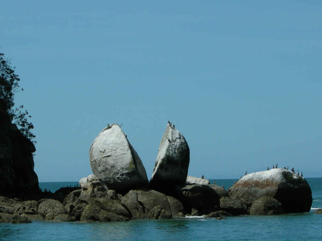 Split Apple Rock beach access track, Nelson Region, NZ - 31 travel ...