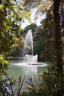 Water fountain action