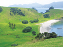 Urupukapuka Bay campsite 