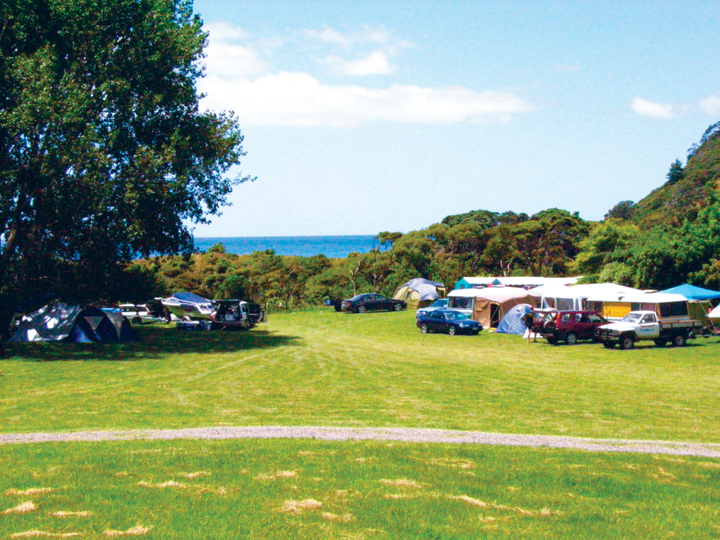 Fletcher Bay Campsite Northern Coromandel, Coromandel, NZ 14 travel reviews for Fletcher Bay