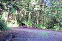 Kakapo Camping Ground