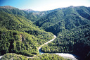 Kaimanawa Forest Park