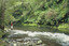 Fishing at Tawanui Camping Ground