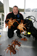 Capt. Richard dives for lobster.