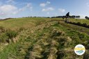 Auckland Mountain Biking