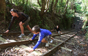 Butler's Incline is part of NZ's oldest bush tramway.