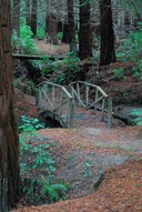 bush walks close to camp