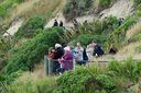 Penguin viewing