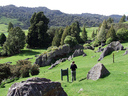 Waitomo landscape