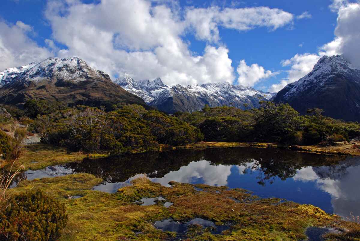 Key Summit Track - Fiordland National Park, Fiordland, NZ - 128 travel ...