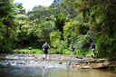 On the Mokoroa stream Walk