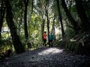 Te Apiti - Manawatu Gorge