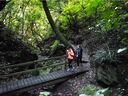 Te Apiti - Manawatu Gorge