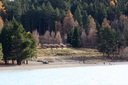 Ensuite units from across the lake