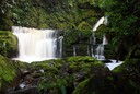 Horseshoe falls