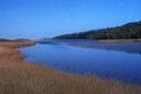 Estury Boardwalk