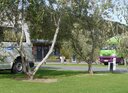 Park amongst the Olive Groves 