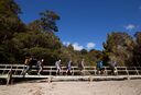 Rakiura Track Great Walk - Photo: DOC / 90 Seconds