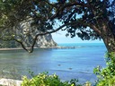 Looking at the wharf from the beach