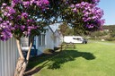 Waitangi Holiday Park Grounds