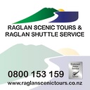 Raglan Shuttle & Raglan Tours 