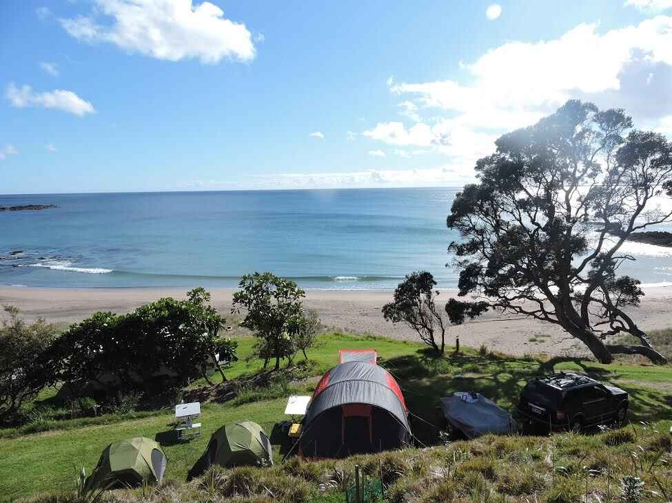 Motutara Farm Camp - Whananaki , Northland, NZ - 6 travel reviews for ...