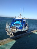 Southern Isle - Shark Cage Diving boat