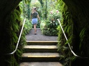 The fernery is cool