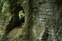 Limestone arches