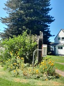 Pay via donation box. Cash only.