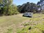 Tiny