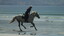 Beach Ride at Aramoana Cheryl Riding Snow