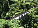 Over looking the iconic
Bridge to Nowhere