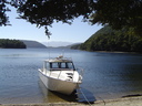 Sandy beaches with Fish Fiordland scenic cruises.