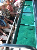 Inside Glass Bottom Boat