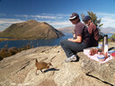 Eco Wanaka Adventures - Lake Cruise & Island Nature Walk