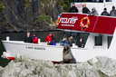 Encounter getting close to the local seals!